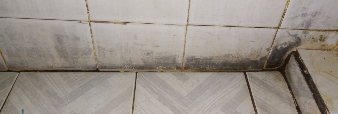 Discoloration along a bathroom tiled wall and grout